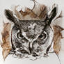 Great Horned Owl