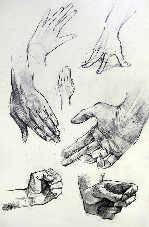 Anatomy Hand Studies 2014