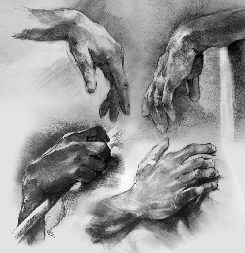 Anatomy Hand Studies 2016 by yolque on DeviantArt