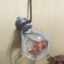 Fish in a bulb