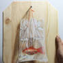 Goldfish In A Bag