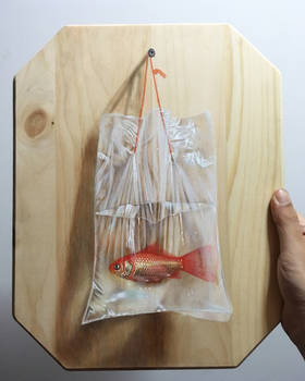 Goldfish In A Bag