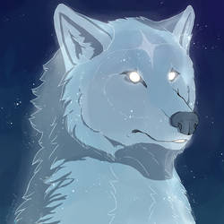 Spiritwolf by MollymawkWoods
