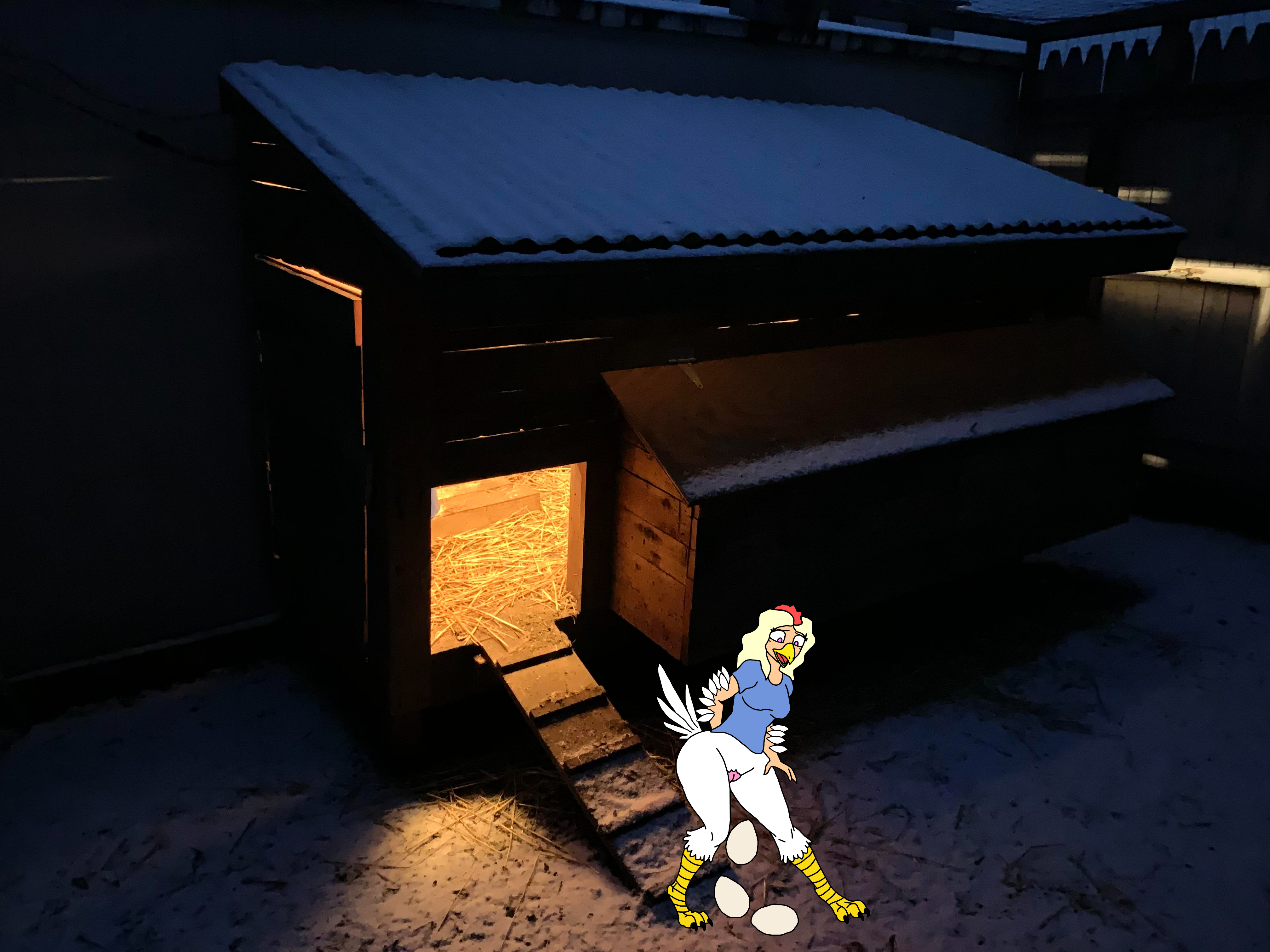 Don't go to the Chicken Coop at 3am