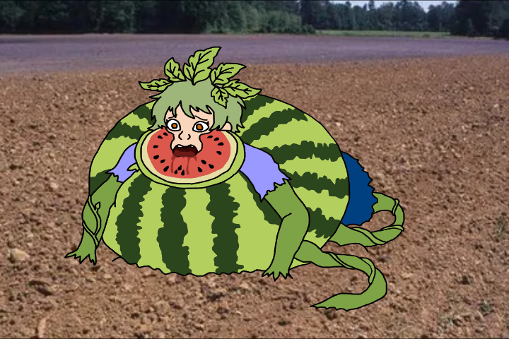 Watermelon Experiment mistake