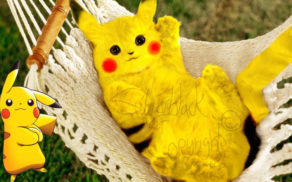 Pikachu real life by MythologiXwolf on DeviantArt