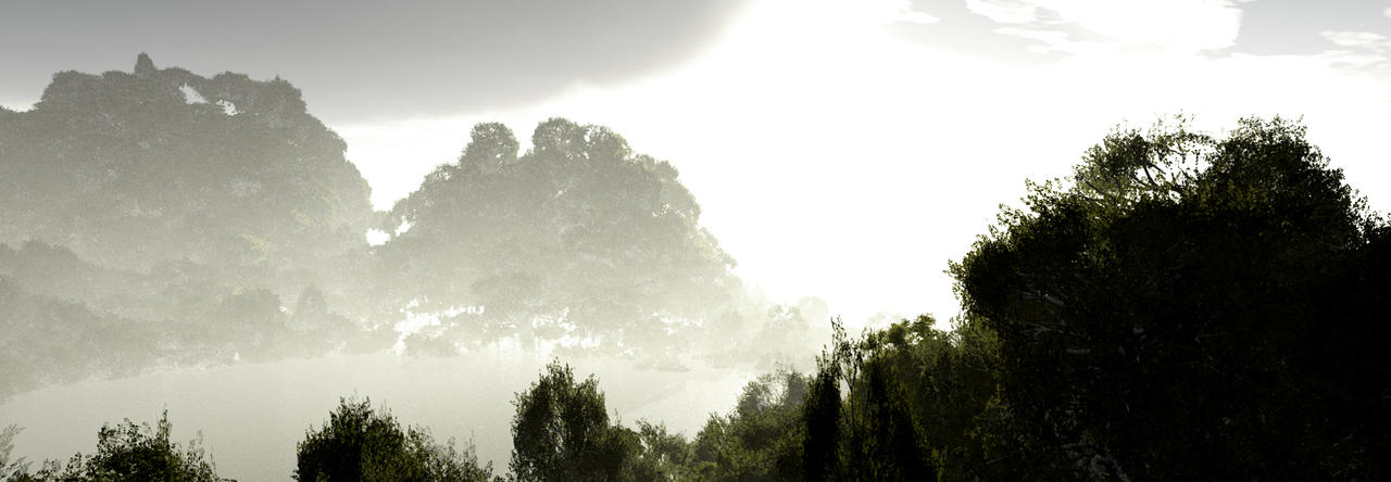 Trees in the Swamp