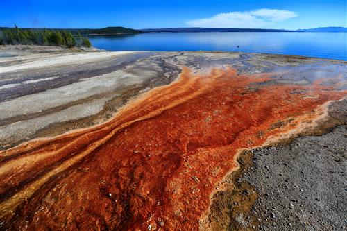 Hot springs, Yellowstone NP