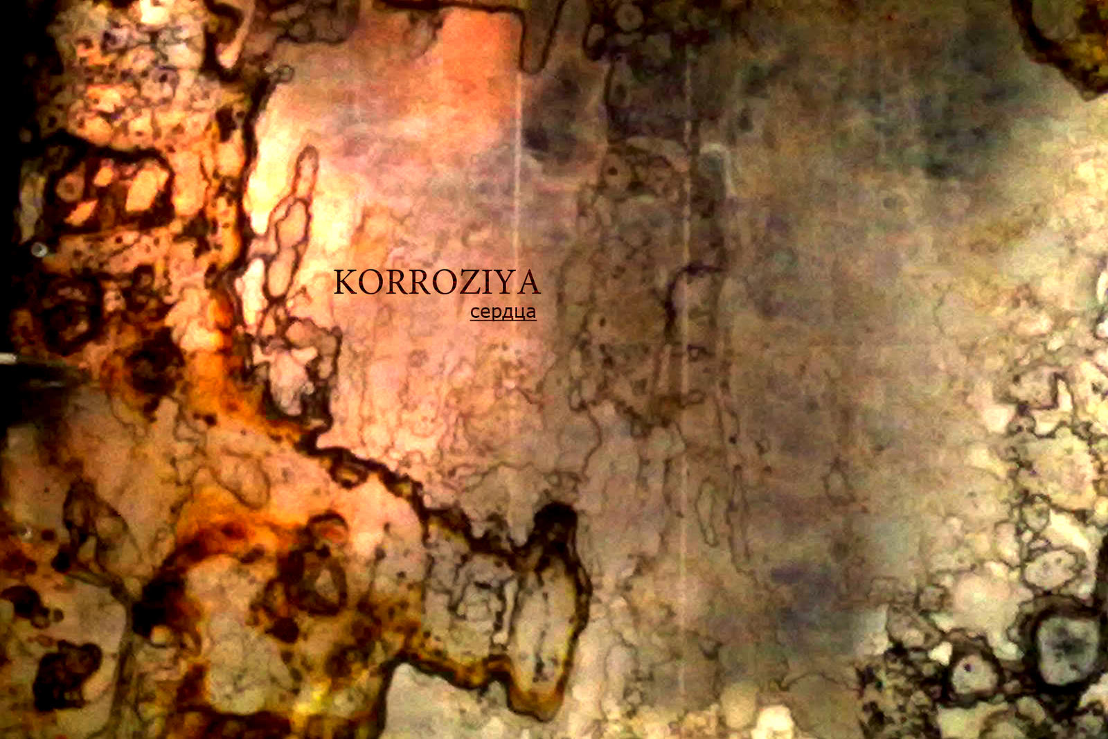 Corrosion Heart By Zershugen On Deviantart Corrosion Heart By Zershugen On Deviantart