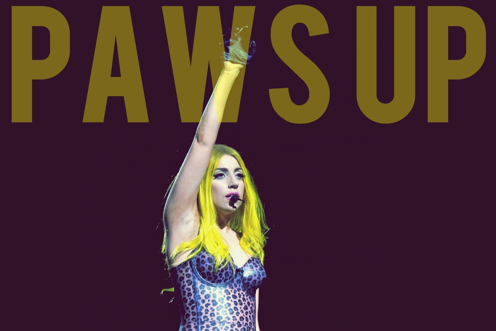 Lady Gaga 'Paws Up'