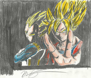 goku and vegeta ss