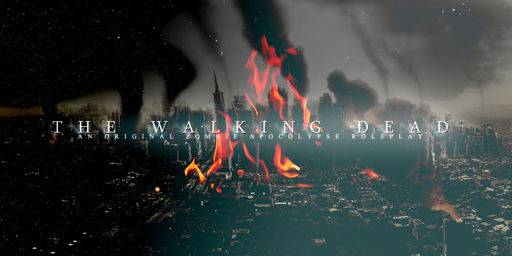 Twd Flags Twd Banner 1 by luxluciferno on DeviantArt