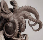 Octopus by roxy111