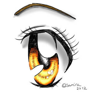 Eye practice