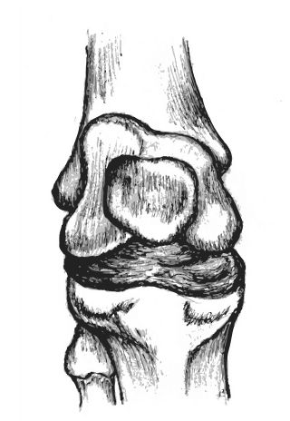 Deviantart Knees Knee by TheBlondeinator on DeviantArt