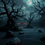 Moonlit Stillness - The Haunted Garden