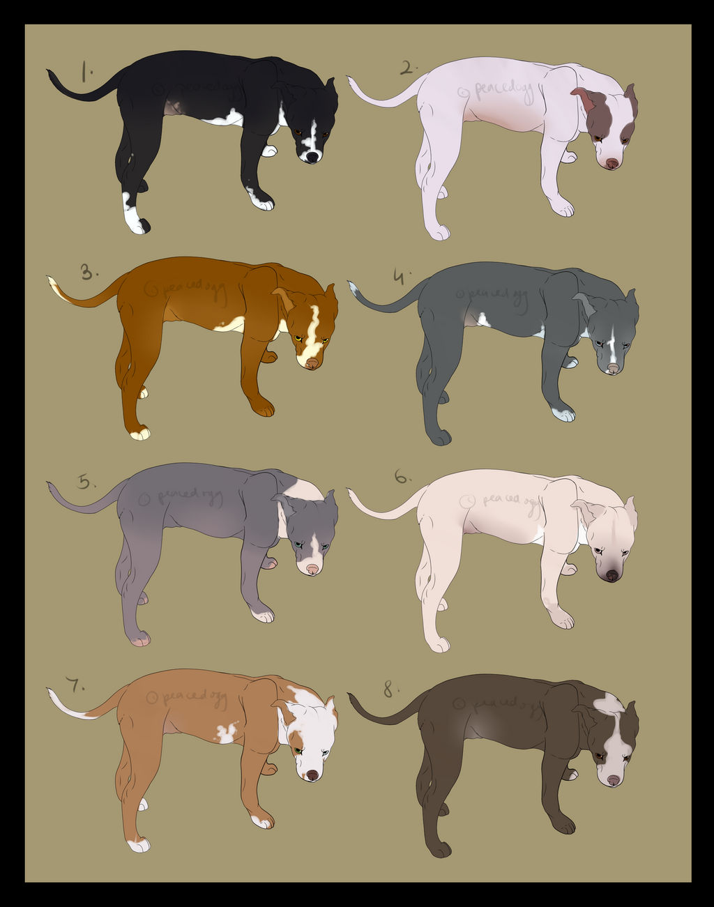 PITBULL SALE DRAW TO ADOPT/POINTS