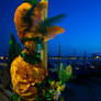 Venice Carnival 12