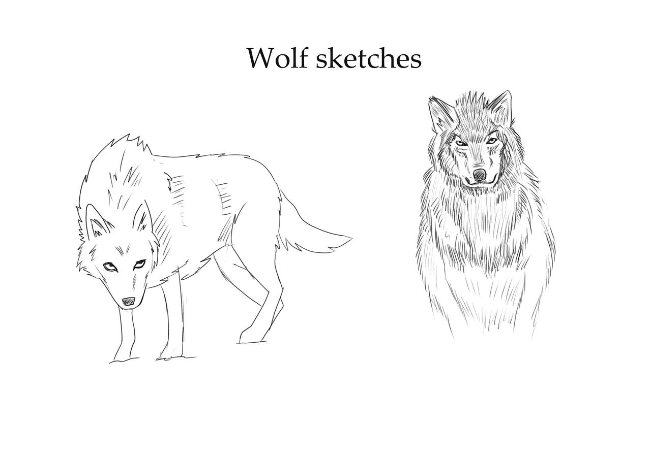 Two Wolves Scetch Wolves Sketches by dizzyspot on DeviantArt
