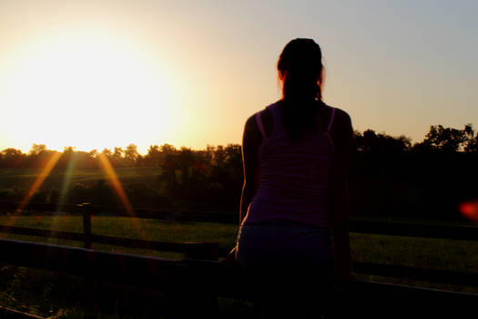 sunset over fields