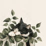 Sleepy Tuxedo Cat on a Ledge with Vines No.2