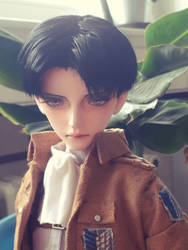 Levi Ackerman doll