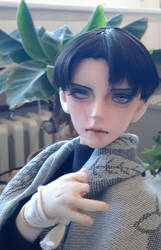 Levi BJD Update (possible Spoiler)