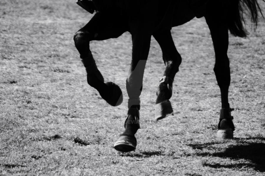 Flying Feet by HHeim02 on DeviantArt