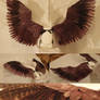 Sparrow wings