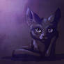 Randome Purple CAt