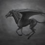 Thestral