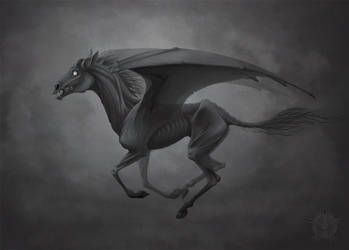Thestral by Bueshang