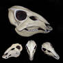 Deer Skull Mask - PAINTED