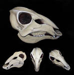 Deer Skull Mask - PAINTED by Bueshang