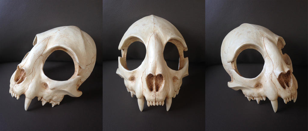 Cat Skull Mask - painted (top)