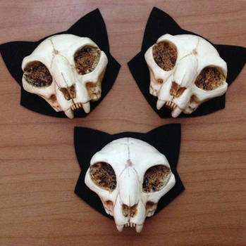 Mini Cat Skull Brooches