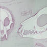 Wolf Skull Mask Sketch