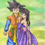 Goku y Chi chi new clothes