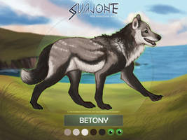 Betony - Svajone App