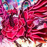 Blood Rose Dragon