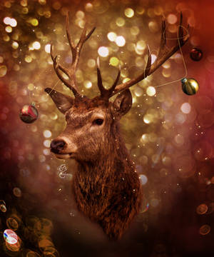 Deertree by Le-Meridian Deertree by Le-Meridian