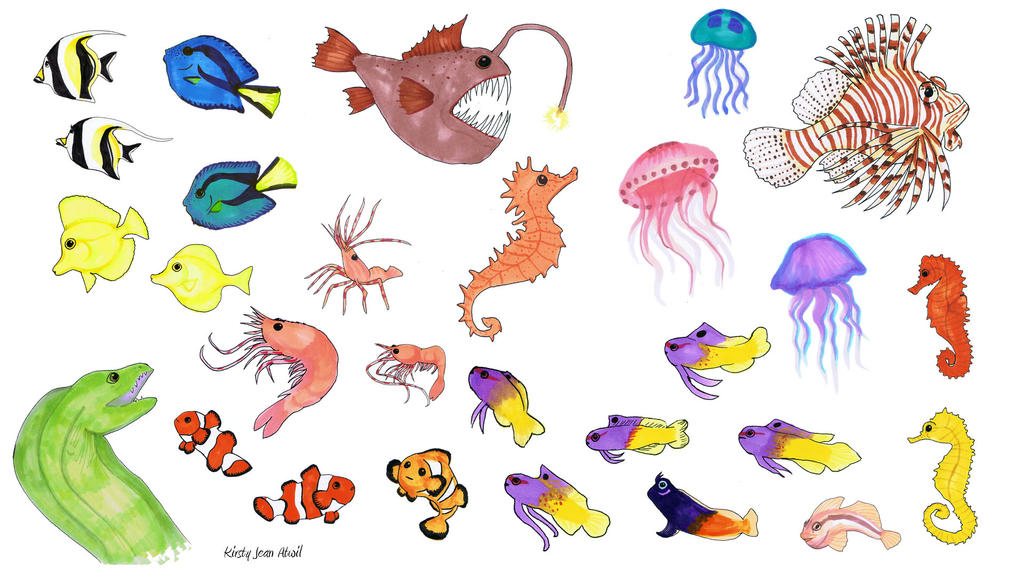 Fish Drawings by fizzykat on DeviantArt