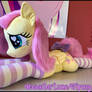 Starry eye Shy