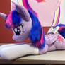 Updated travel twi