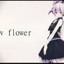 [MMD] Blossoming