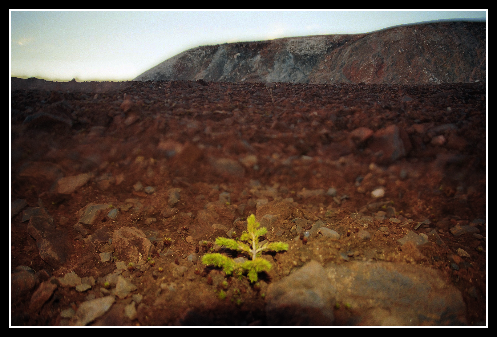 Life on Red Planets