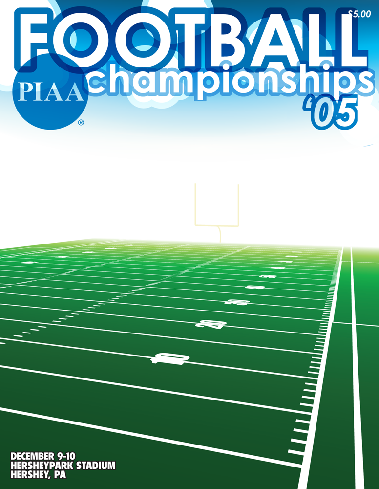 PIAA Football Cover Rough