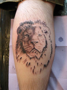 half done lion