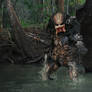 Hot Toys Original Predator - 2