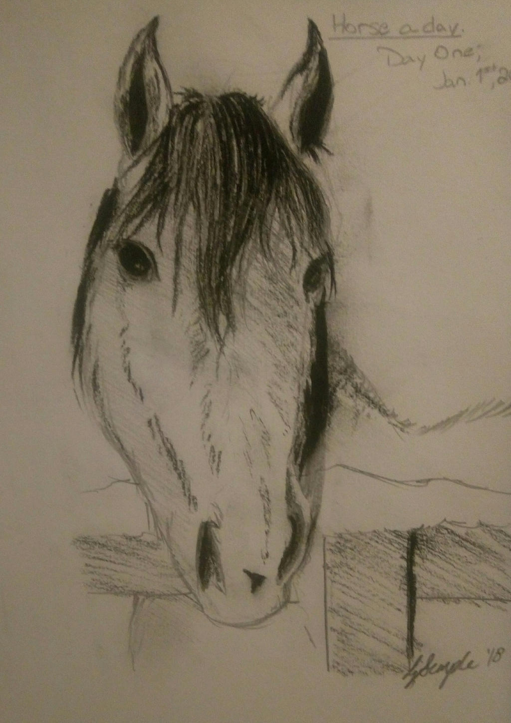 Horse a Day 1